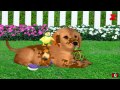 The Wonder Pets Save The Puppy Game The Wonder Pets English Game 2015
