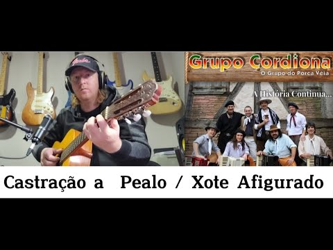 Xote Afigurado - Porca Véia