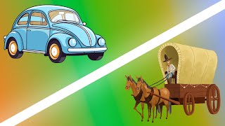 OS ANIMAIS NO DIA A DIA DOS SERES HUMANOS – AULA 4 [CadaPasso.Ensino]