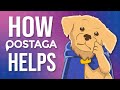 Postaga Overview Link Building Outreach Made Easy