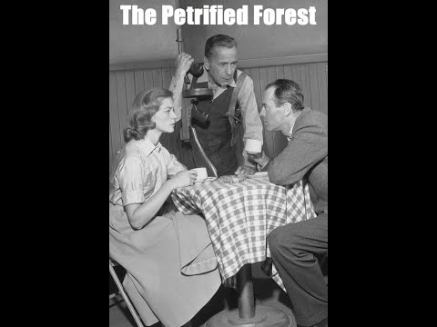 The Petrified Forest (1955, dir. Delbert Mann)