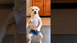 Quando Chega Na Quarta feira 🤣