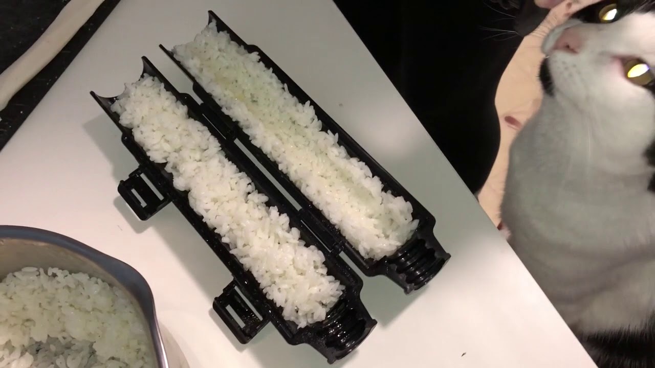 Easiest Sushi Ever! Sushi Bazooka Demo