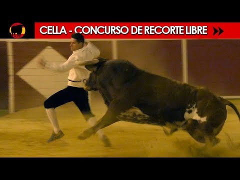 CELLA - FREE CUTTING COMPETITION WITH BULLS FROM MOUNT LA ERMITA 08/16/2019