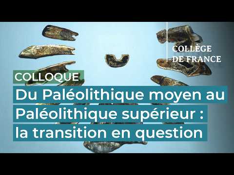 Hublin - From the Middle Palaeolithic to the Upper Palaeolithic: a transition?