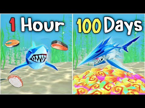 Shark Go Tutorial: Stop Getting Confused!