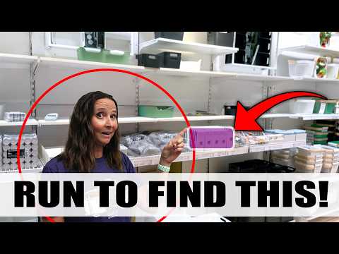 IKEA's NEW Hidden Gems for RV Storage You’re Missing!