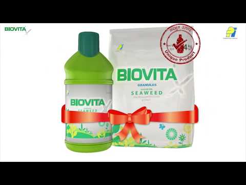 Liquid 1l biovita x seaweed fertilizer, 1 litre, bottle