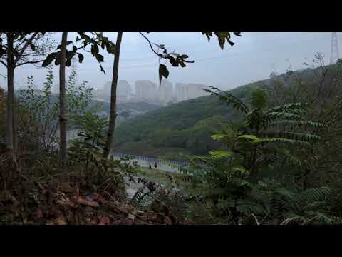 Filistin Mahallesi-Belgesel (Fragman) / Palestine Neighborhood-Documentary (Trailer)