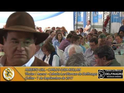 07-09-17 Nota Alberto Gill - Carlos Ojea Rullan - Cabaña Las Blancas de Delfinagro S.A. - Chillar