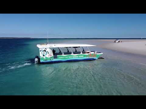 Hervey Bay Eco Marine Tours