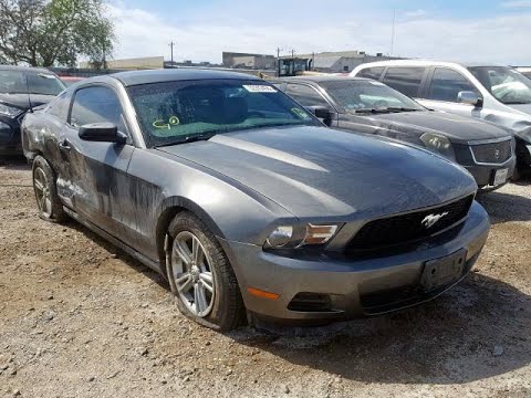 Copart Mcallen Photos