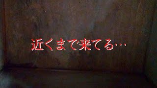 【座敷童子ンち】「命が頑張ってる間はね…」そして何かが近くに【まるで世にも奇妙な物語】ユーチューバー、幽霊、パワースポット、オカルト、ホラー、怪談、物語、スピリチュアル、座敷わらし、霊が視える