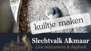 De laatste voorbereidingen?