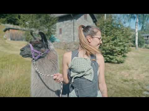 NATURA CHE SORPRENDE 🚞🚠