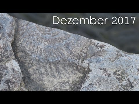 Permakultur Dusslingen - Dezember 2017
