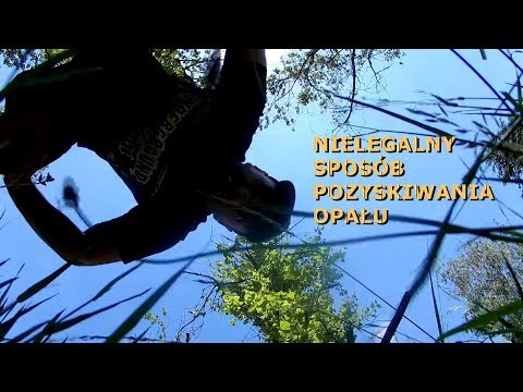 Bycie bezdomnym ma swoje ciemne strony. Odc.110