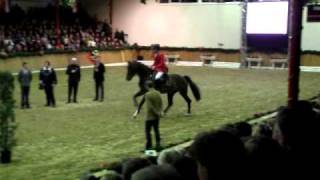 Video di Balou du Reventon Z