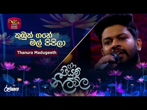 Kumbuk Gahe Mal Pipila | කුඹුක් ගහේ මල් පිපිලා |Thanura Madugeeth | Piyum Neela Vila| Roo Tunes