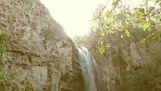 "Chapter Of The Forest"