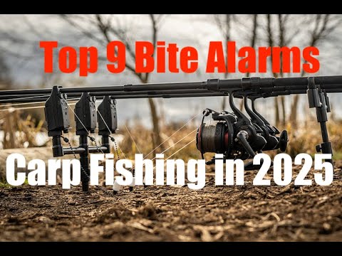 Top 9 Bite Alarms for Carp Fishing