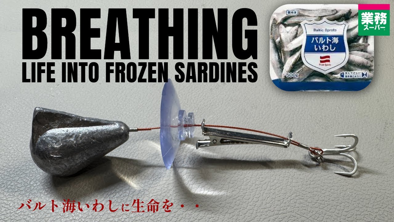 バルト海イワシに生命を・・