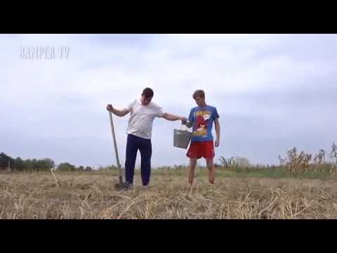 # прикол копают картофель