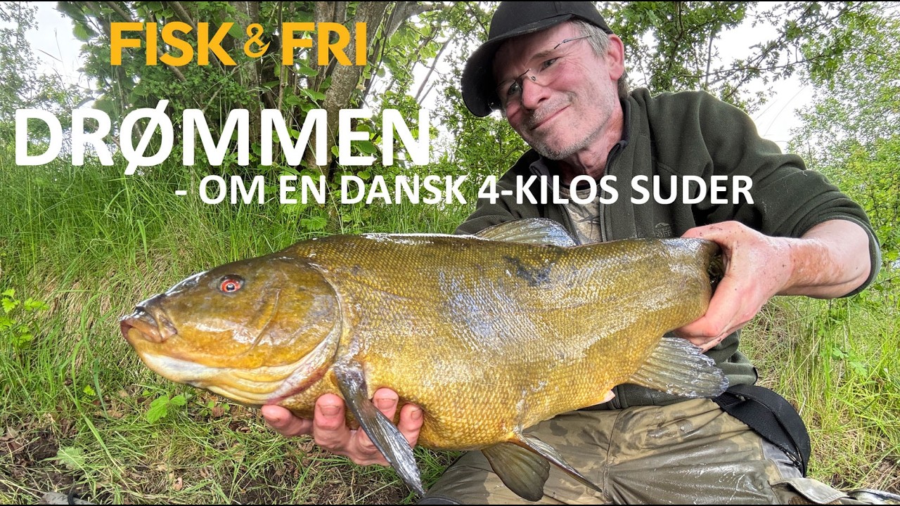 NY VIDEO: DRØMMEN OM EN DANSK 4-KILOS SUDER