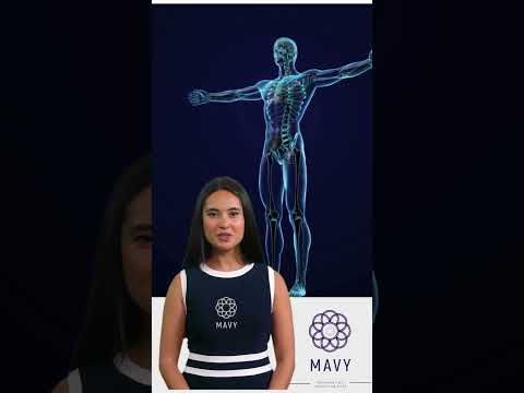 Mavy (Partner)