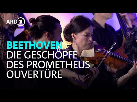 Beethoven - Die Geschöpfe des Prometheus - Ouvertüre | Academy of Ancient Music | BR-KLASSIK