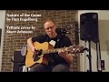Nature of the Game by Dan Fogelberg - Tribute Cover