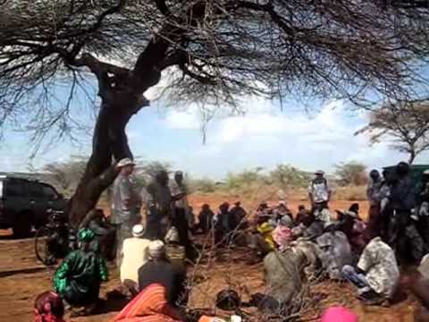 Bulesa Dima greeting.wmv