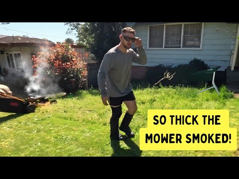 The Most Satisfying Overgrown Lawn Cut on an Aussie Street | Then the Mower Smoked (Part 1)