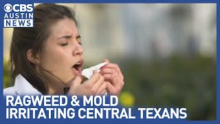 FDA warning leaves Austin allergy sufferers seeking new reliefs