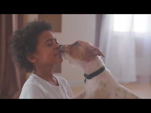 Video de Grand Vita Adulto Perro Razas Pequeñas 1kg