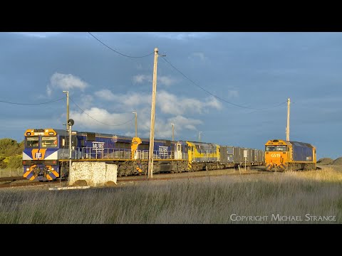 1CK1 QUBE Viterra Containerized Grain Train With 44202 Departs Gheringhap (15/10/2023) - PoathTV