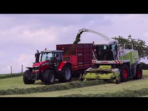 Silage '22. Claas Jaguar 830, with three trailers in support.