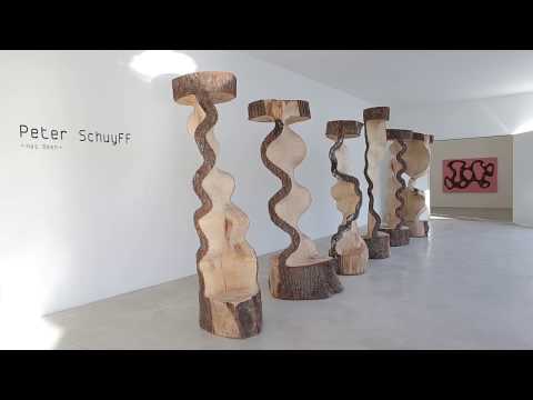 Portrait d’artiste : Peter Schuyff - Has been  (english subtitles available)