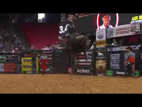 MONTARIA ESPETACULAR EM TOURO   LUCIANO DE CASTRO