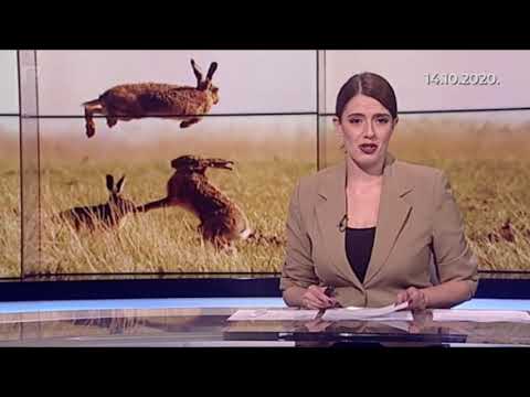 Farma divljih zečeva u Donjoj Mahali