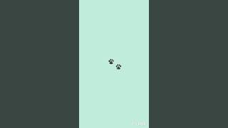 Prxz LOVE IS MORE DEPRESSING THAN DEPRESSION