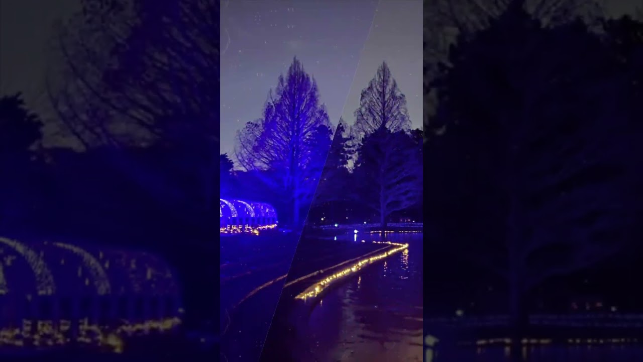 メリクリ2025　～仙台のクリスマス～ #shotrs #hanyuyuzuru