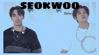 SEOKWOO Detailed Moments||SEVENTEEN&#39;s Twin Couple