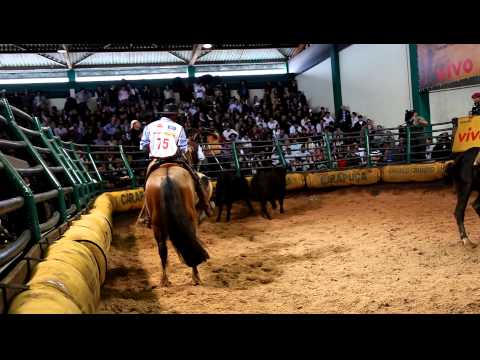 FREIO DE OURO 2011 - EXPOINTER 2011