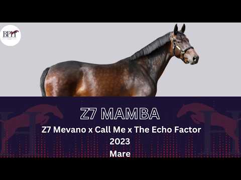 Z7 Mamba