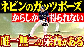 【唯一無二の栄養素】ネビン『愛と魂を込めて…ネビンのガッツポーズでしか得られない栄養がある』