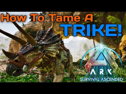 How To Tame a Trike on ARK Ascended | Beginner Dino Guide