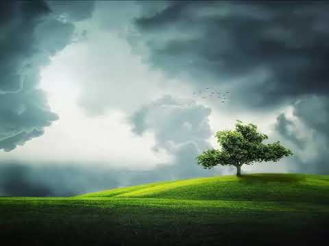 Dark Techno Mix - Psychedelic Session