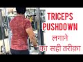 Tricep Pushdown का सही तरीक़ा | Insane Fitness Saurabh
