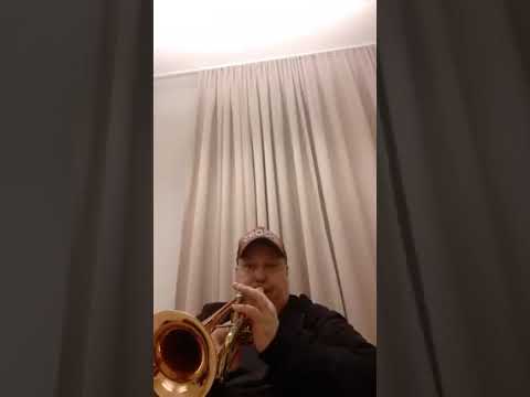 YOU RAISE ME UP - R. Laur